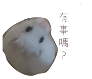 697052091