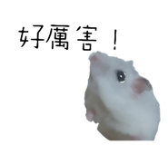 697052092