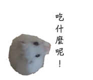 697052093
