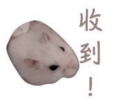 697052094