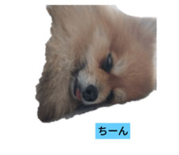 697069884