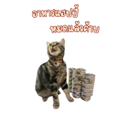 697077480