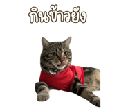 697077491