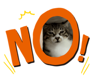 697093566