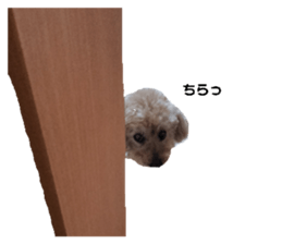 697095535