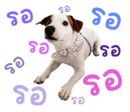 697099944