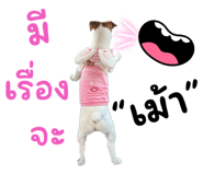 697099949