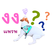 697099952