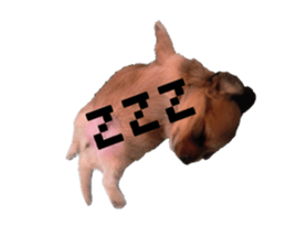 697121866