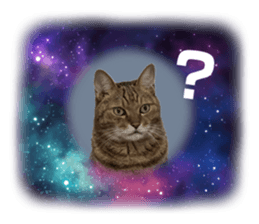 697127623
