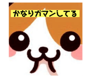 697138914