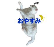 697138950