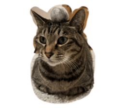 697140345