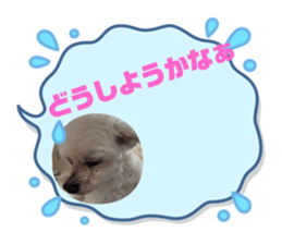 697147622