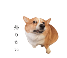 697275765