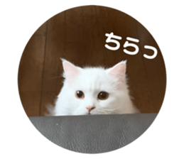 697299662