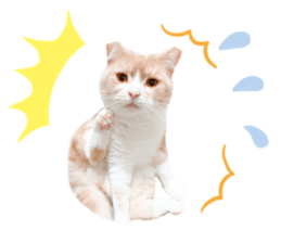 697310378