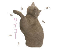 697340285