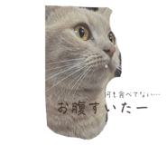 697340289