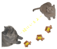 697340303