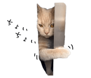 697340308