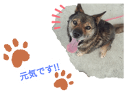 697357003