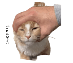 697370028