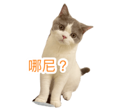 697375233