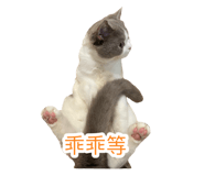 697375235