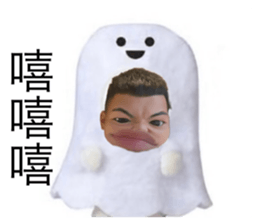 697381668