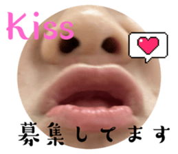 697391313