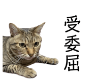 697472662