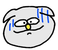 697492794