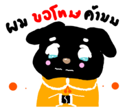 697531037