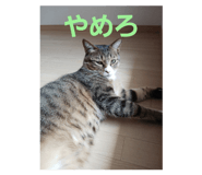 697543034