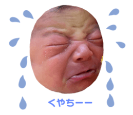 697549559