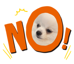697551084