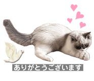 697552963