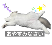 697552968