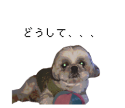 697553307