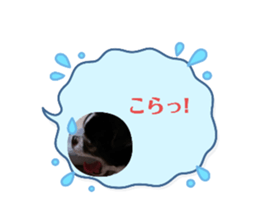 697558852