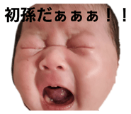 697562976