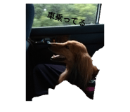 697582360