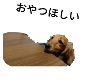697582361