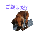 697582366