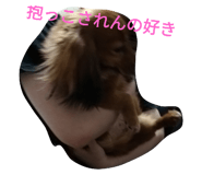 697582368