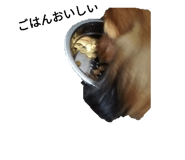 697582376