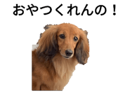 697582390