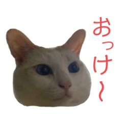 697585650