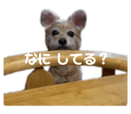 697586146